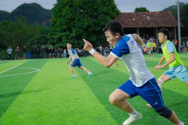 他们即将迎
